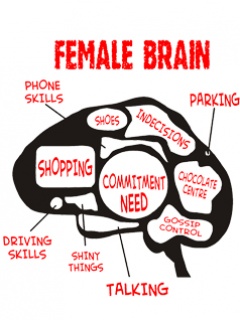 Female brain