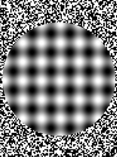 Optica illusion