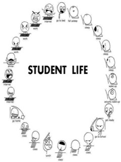 Download Student life - Funny wallpapers for mobile phone..