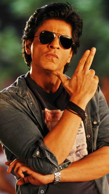 Shah rukh khan chennai express 2013