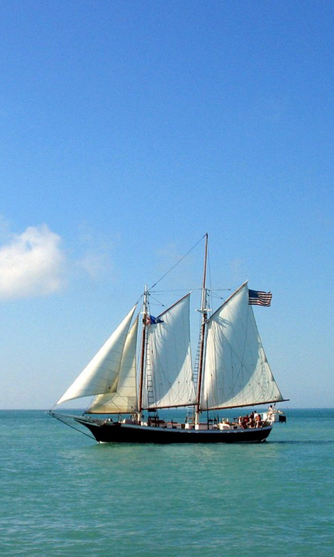 Small sailboat 