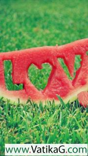 Love watermelon 