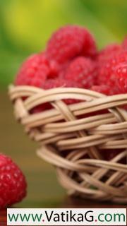 Basket of raspberries 