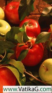 Red apples & green apples 