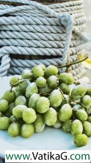 Frozen grapes 