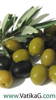 Olives 