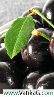 Black cherries