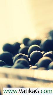 Basket of blackberries