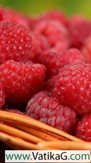 Sweet raspberries