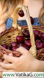 Spring cherries 