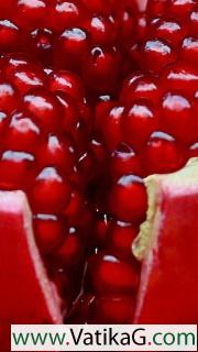 Pomegranates cracked