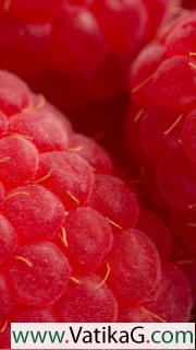 Raspberry macro juicy