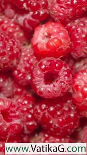 Summery juicy raspberry 