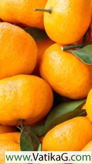 Tangerines 