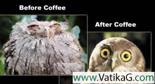 Coffee jokes funny photo