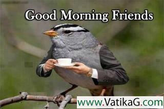 Good morning friends