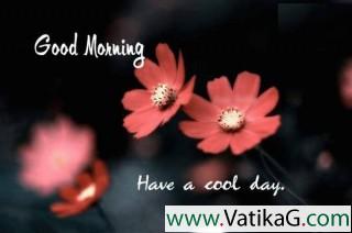 Good morning greetings