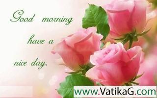 Happy morning have a nice day