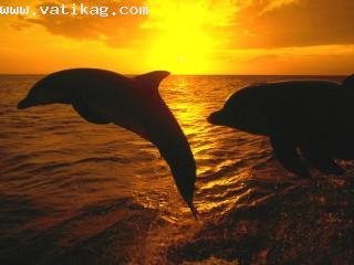 Sunset jump, honduras