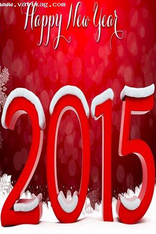 Happy new year 2015 (2)