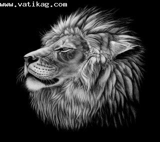 Awesome lion
