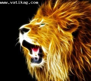 Lion hd