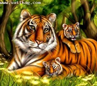 Tiger and cubs