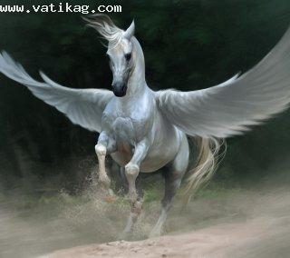 White pegasus