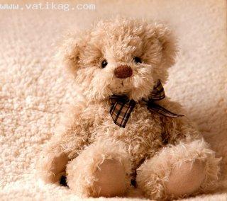 Cute teddy love