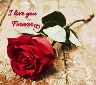 I love you forever