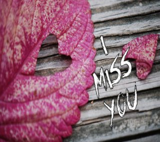 I miss you(4)(2)