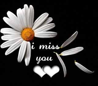 I miss you(5)(1)