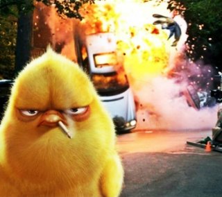 Angry bird