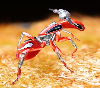 Ant bike 1