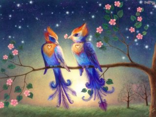 Love birds love wallpaper 600x450