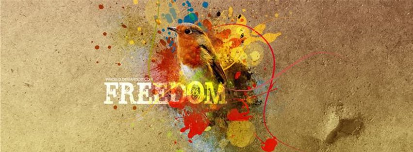 Freedom sparrow