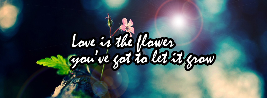 Love is the flower you have got to 