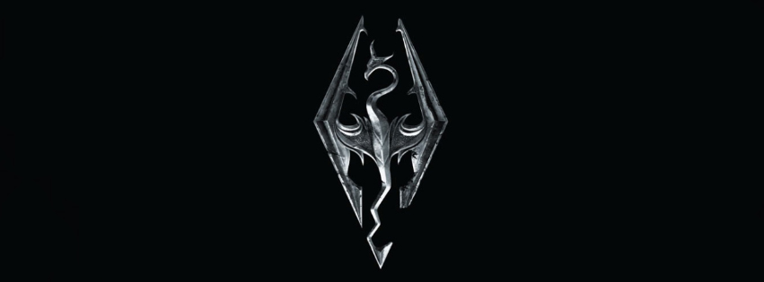 Skyrim banner