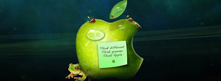 Apple fb cover