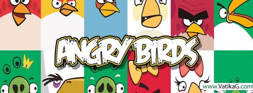 Angry birds logo fb cover
