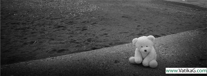 Lonely bear fb cover
