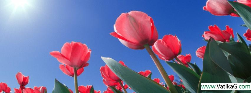 Flower fb covers