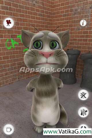 Talking tom cat free