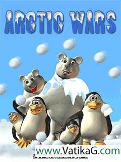 Arctic wars