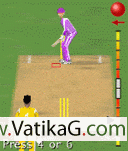 Cricket 3d