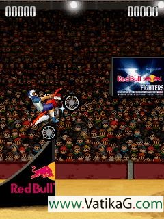 Red bull fighters