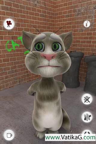 Talking tom cat free