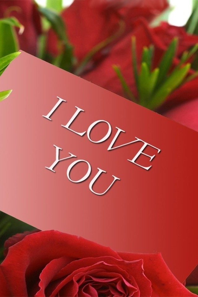 I love your rose 