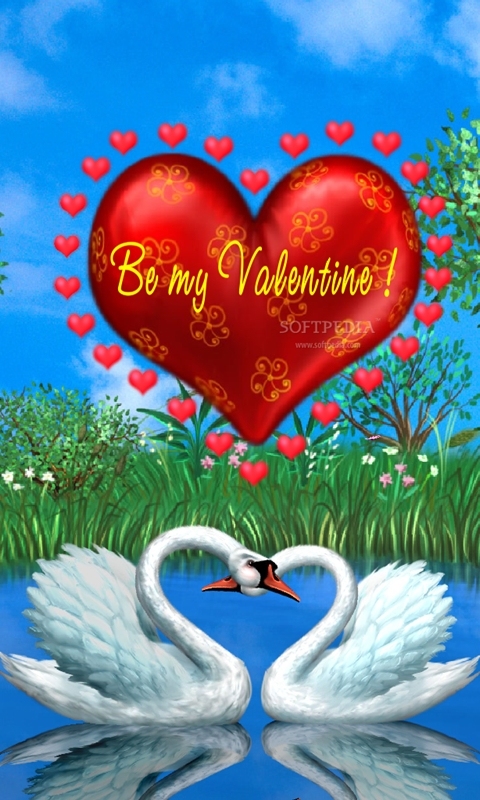 Valentine day love swan 
