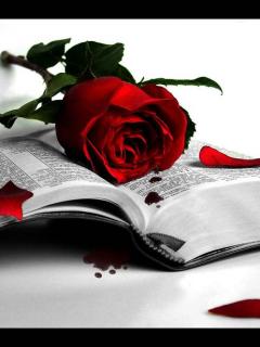 Rose on book